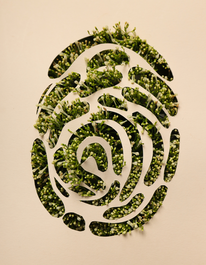 Green Lodging News: Sustainability Communication Guide Launches in 2nd Edition