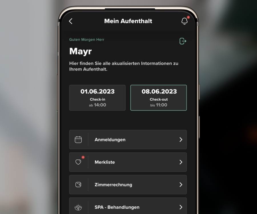 MAp Boutique Consultancy Guestnet