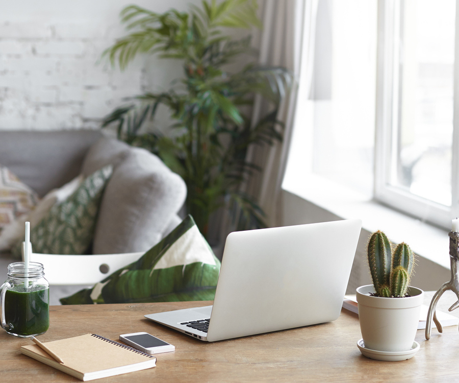 A modern home office plase with a table, laptop and some plants