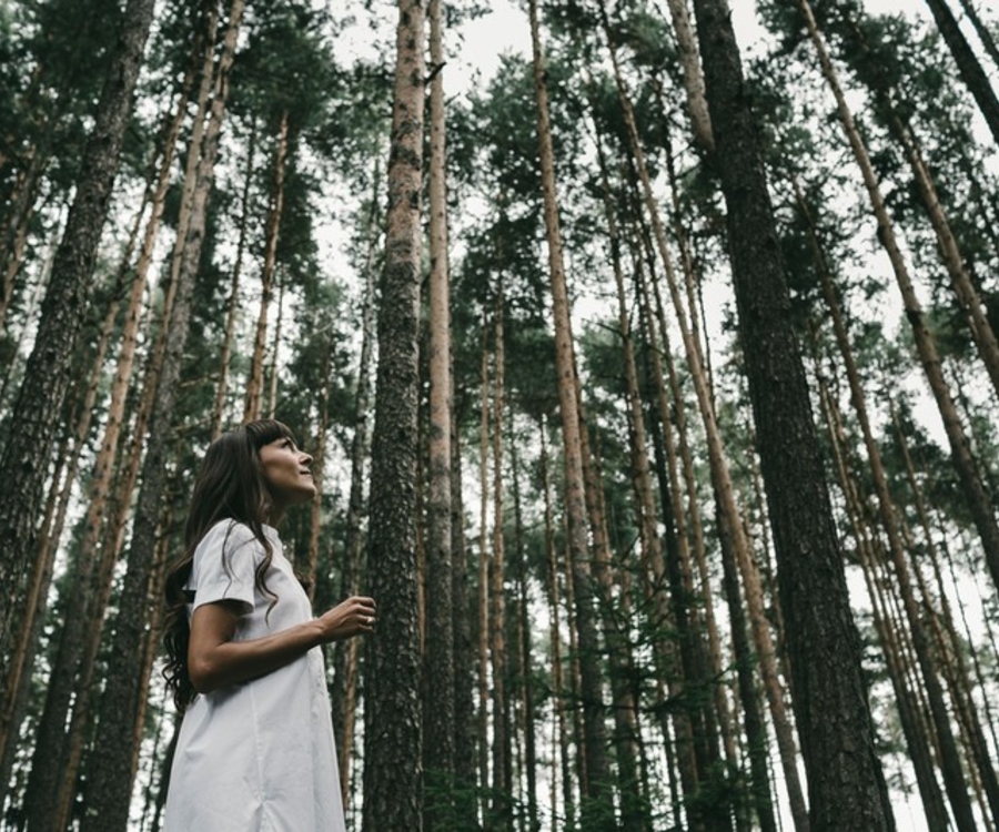 MAp Boutique Consultancy Select Green Hotels